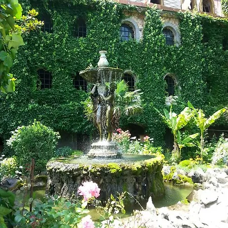 Flora Apartment *